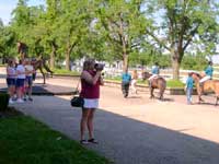 Live horses beat statues any day!