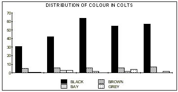 chart: more black colts than other colours 1985 to 1989