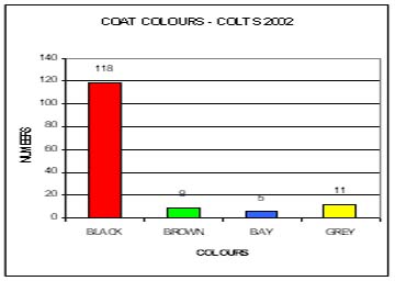 chart: more black colts than other colours in 2002