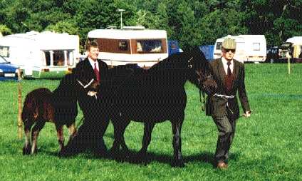 Bert and David Morland with Lunesdale mare and foal 